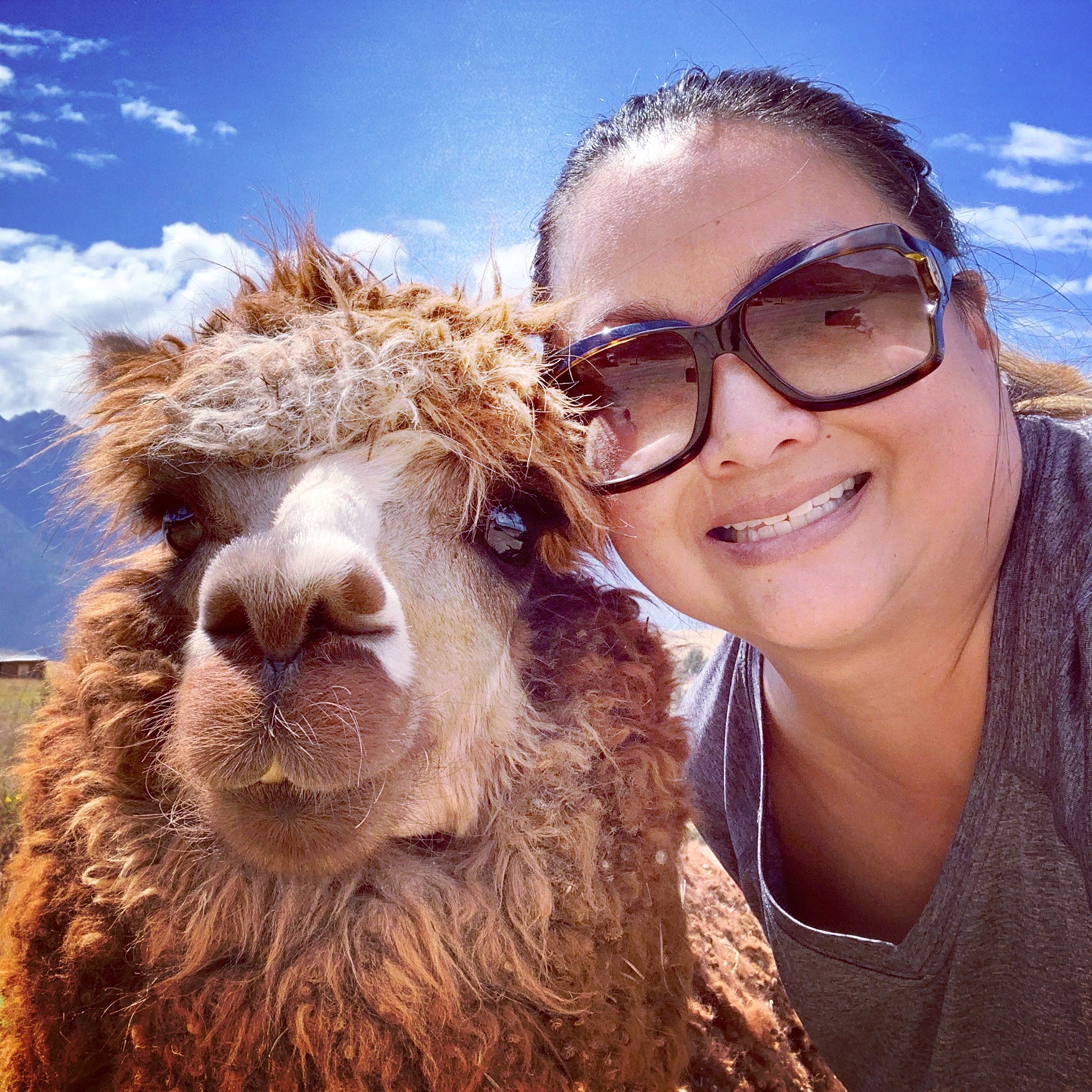 Michelle is Out of Office in Peru with Alpaca