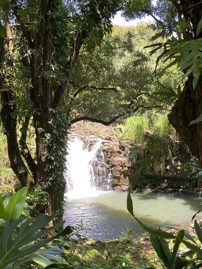 Kings Garden Maui