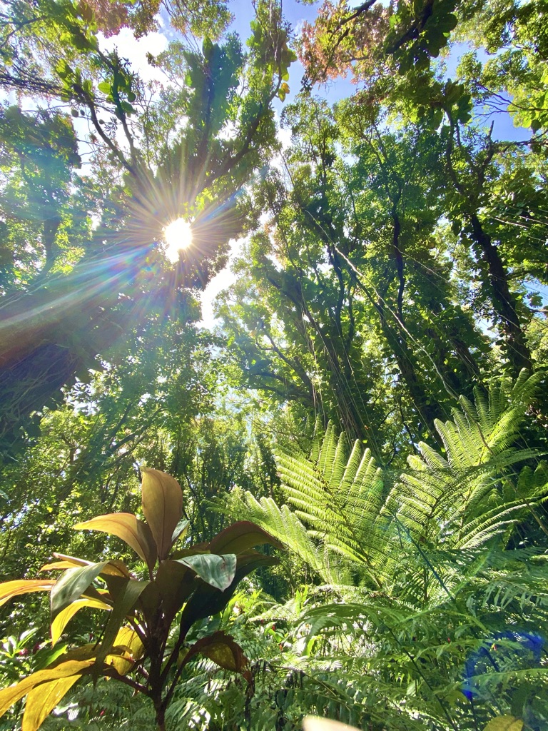 King's Gardens - Maui, Hawaii