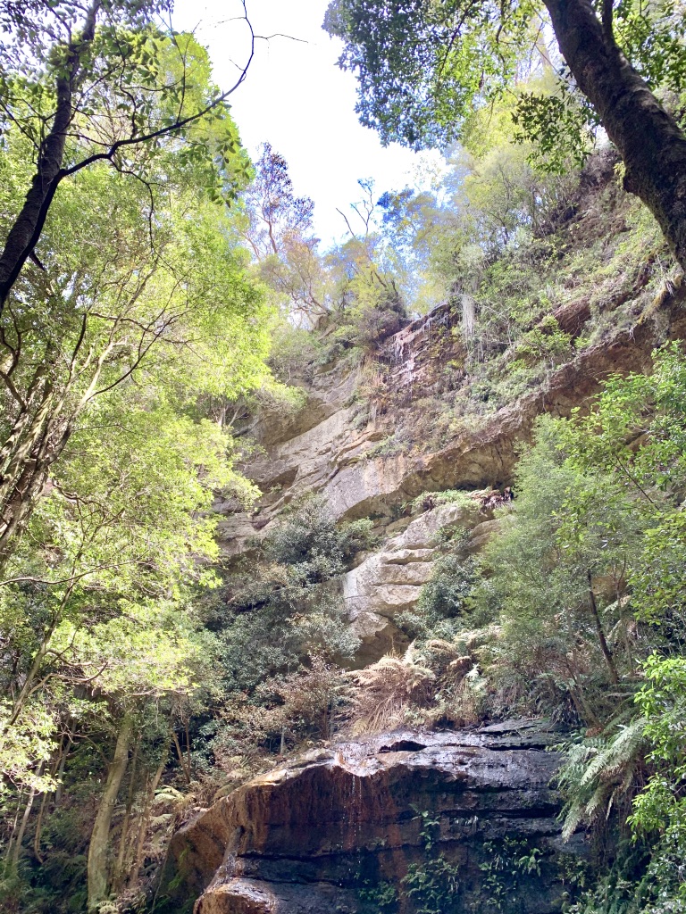 Blue Mountains Australia