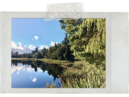 Reflecting on Lake Matheson, New Zealand